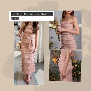 V Chapman Lily Dress Size 2 Rose Dust